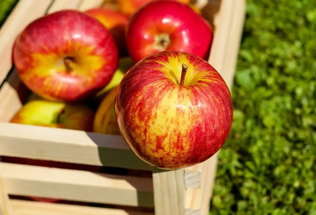 apple 16 High Fiber And Low Calorie Foods weexplained.com