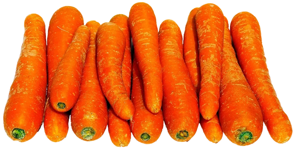 carrots 16 High Fiber And Low Calorie Foods weexplained.com