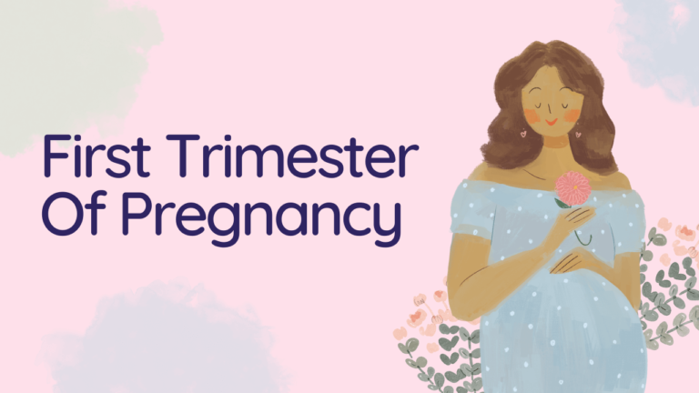women in first trimester of pregnancy www.weexplained.com