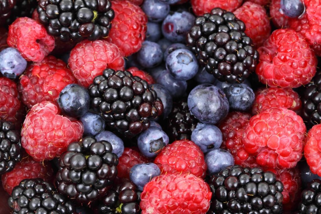 berries healthy food for pregnancy