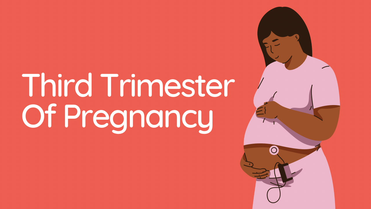 Pregnancy In 3rd Trimester Including Alarming Symptoms In 3rd Trimester