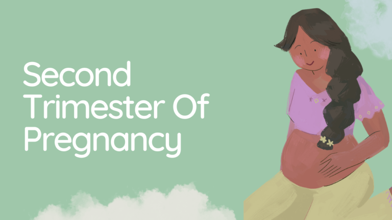 women in pregnancy 2nd trimester